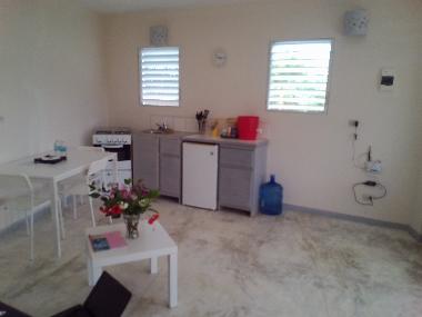 salon avec cuisinette