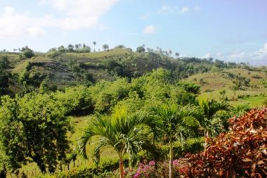 vue de la terrasse du bungalow #5