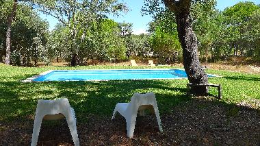 la piscine