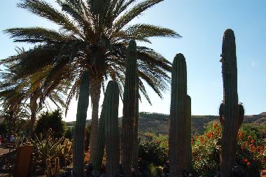 Maison de vacances /en/au Costa Calma (Fuerteventura)ou appartement ou maison de vacances