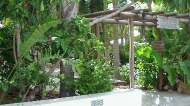 Appartement de vacances /en/au Ayia Napa (Famagusta)ou appartement ou maison de vacances