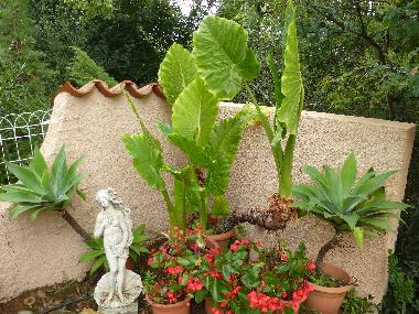 Maison de vacances �/en/au MONTESQUIEU-DES-ALBERES  (Pyr�n�es-Orientales)ou appartement ou maison de vacances