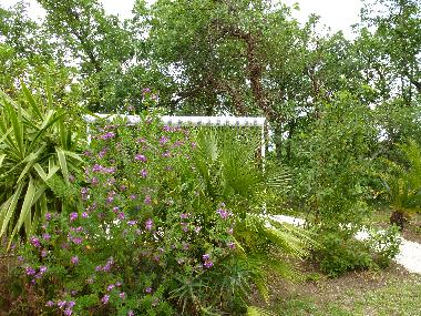 COIN INTIME "SALON DE JARDIN"