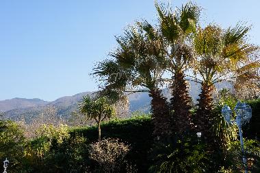 DE LA PISCINE VUE SUR LA MONTAGNE  - LES ALBERES -