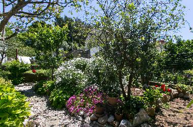 Appartement de vacances �/en/au Dubrovnik (Dubrovacko-Neretvanska)ou appartement ou maison de vacances