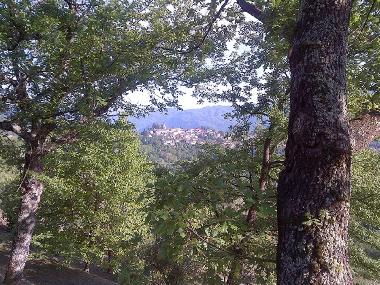 Maison de vacances /en/au Barga (Lucca)ou appartement ou maison de vacances