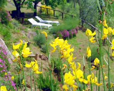 Maison de vacances /en/au Barga (Lucca)ou appartement ou maison de vacances