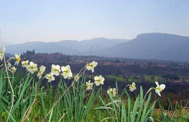 Maison de vacances /en/au Barga (Lucca)ou appartement ou maison de vacances