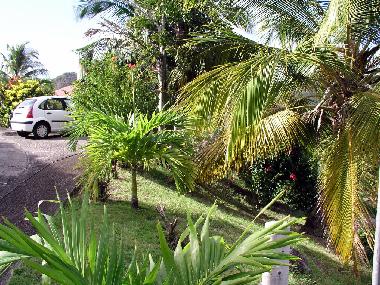 Appartement de vacances �/en/au Anses D`Arlet (Martinique)ou appartement ou maison de vacances