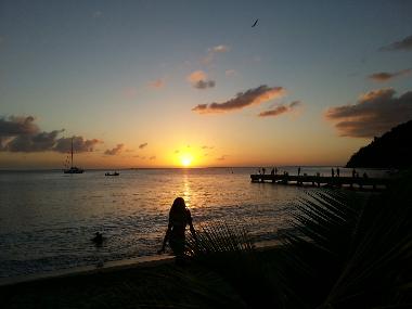 Appartement de vacances �/en/au Anses D`Arlet (Martinique)ou appartement ou maison de vacances