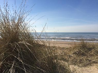 Maison de vacances /en/au Noordwijk (Zuid-Holland)ou appartement ou maison de vacances