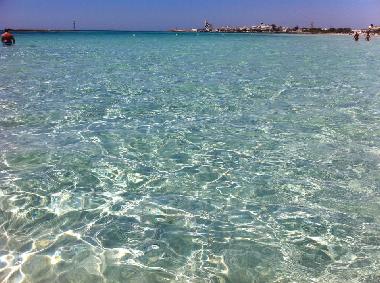 Maison de vacances /en/au Torre San Giovanni (Ugento) (Lecce)ou appartement ou maison de vacances