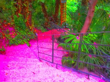 Chambre avec petit djeuner /en/au Castejn de las Armas (Zaragoza)ou appartement ou maison de vacances