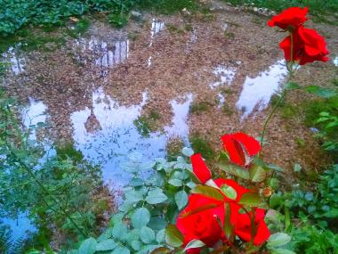 Chambre avec petit djeuner /en/au Castejn de las Armas (Zaragoza)ou appartement ou maison de vacances