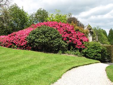 Maison de vacances �/en/au Carbis Bay (South West)ou appartement ou maison de vacances