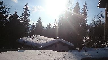 Appartement de vacances /en/au Mhlbach (Pinzgau-Pongau)ou appartement ou maison de vacances