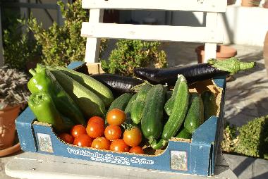 Maison de vacances /en/au kritinia (Dodekanisos)ou appartement ou maison de vacances