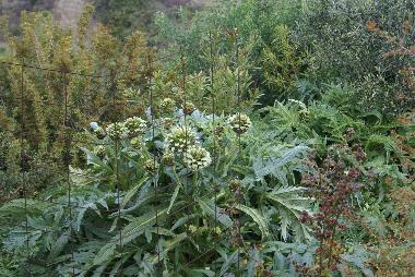 Maison de vacances /en/au kritinia (Dodekanisos)ou appartement ou maison de vacances