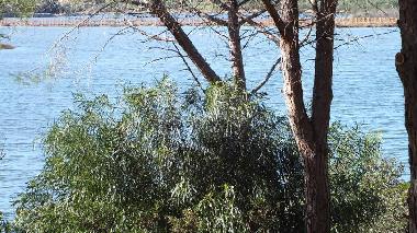 Maison de vacances /en/au Porto TAverna (Olbia-Tempio)ou appartement ou maison de vacances