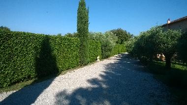 Villa /en/au roma (Roma)ou appartement ou maison de vacances