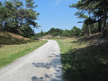 Chalet /en/au Petten (Noord-Holland)ou appartement ou maison de vacances