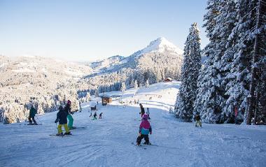 Chalet �/en/au Les Paccots (Montreux-Vevey)ou appartement ou maison de vacances