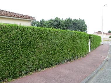 Maison de vacances �/en/au LIMOGES (Haute-Vienne)ou appartement ou maison de vacances