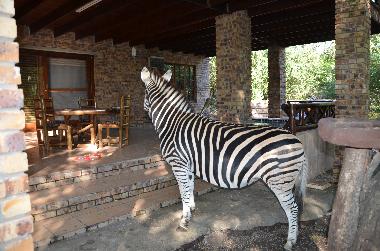 Villa �/en/au Marloth Park (Mpumalanga)ou appartement ou maison de vacances