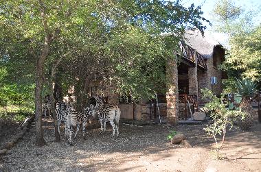 Villa �/en/au Marloth Park (Mpumalanga)ou appartement ou maison de vacances