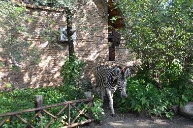 Villa �/en/au Marloth Park (Mpumalanga)ou appartement ou maison de vacances