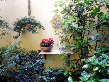 Appartement de vacances �/en/au FLORENCE (Firenze)ou appartement ou maison de vacances