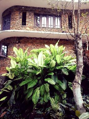 Maison de vacances /en/au BULATHKOHUPITIYA  (Kegalla)ou appartement ou maison de vacances