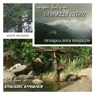 Maison de vacances /en/au BULATHKOHUPITIYA  (Kegalla)ou appartement ou maison de vacances