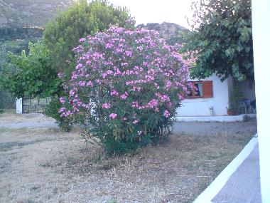 Maison de vacances �/en/au Selianitika (Korinthia)ou appartement ou maison de vacances
