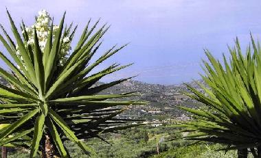 Maison de vacances �/en/au Selianitika (Korinthia)ou appartement ou maison de vacances