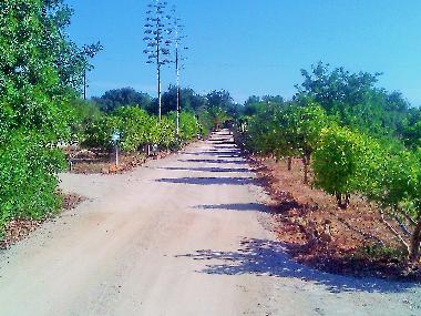 Villa /en/au Albufeira (Algarve)ou appartement ou maison de vacances