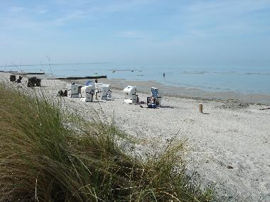 Appartement de vacances �/en/au Insel Poel, Am Schwarzen Busch (Ostsee-Inseln)ou appartement ou maison de vacances