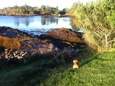 Maison de vacances �/en/au Tahilla (Kerry)ou appartement ou maison de vacances