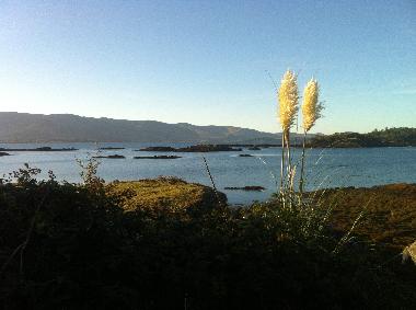 Maison de vacances �/en/au Tahilla (Kerry)ou appartement ou maison de vacances