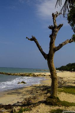 Maison de vacances �/en/au San Antero (Cordoba)ou appartement ou maison de vacances