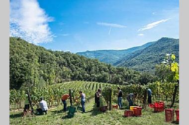 Maison de vacances /en/au Londa (Firenze)ou appartement ou maison de vacances