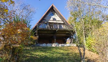 Maison de vacances /en/au Siegsdorf-Vorauf (Oberbayern)ou appartement ou maison de vacances
