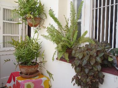 Appartement de vacances �/en/au Vedado (La Habana)ou appartement ou maison de vacances