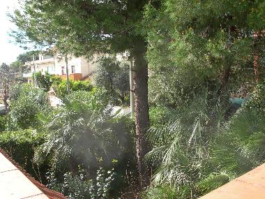 Maison de vacances /en/au Capo San Vito (Taranto)ou appartement ou maison de vacances