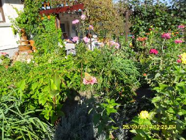 Maison de vacances �/en/au Blisnatsi (Varna)ou appartement ou maison de vacances