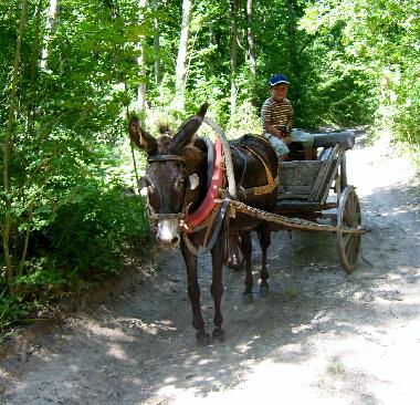 Maison de vacances �/en/au Blisnatsi (Varna)ou appartement ou maison de vacances