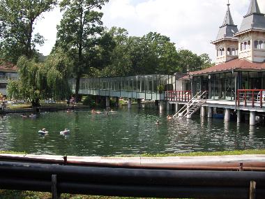 Maison de vacances �/en/au Heviz-Nemesb�k (Zala)ou appartement ou maison de vacances