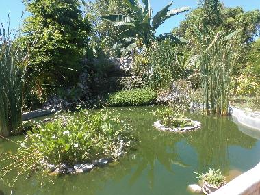 Maison de vacances /en/au Ban-Phe (Rayong)ou appartement ou maison de vacances