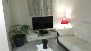 Appartement de vacances /en/au bayonne (Pyrnes-Atlantiques)ou appartement ou maison de vacances