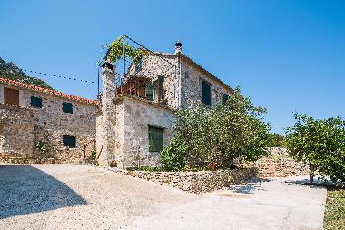 Villa /en/au Pitve (Splitsko-Dalmatinska)ou appartement ou maison de vacances